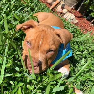 Meet your Posher, Daniela